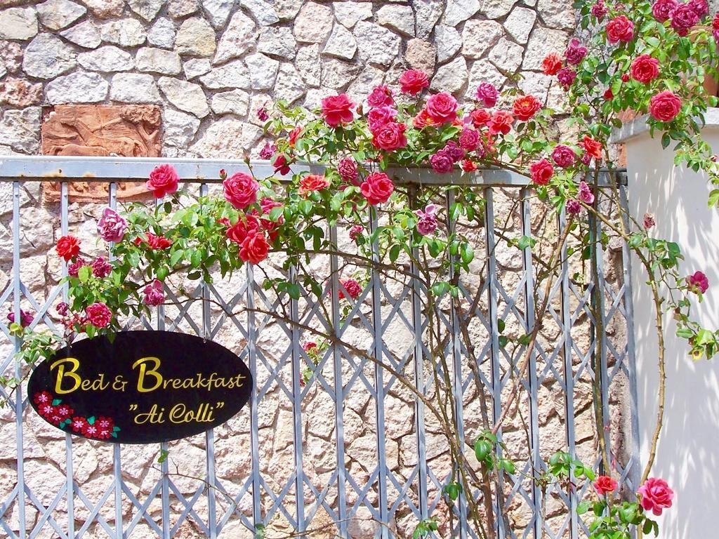Ai Colli B&B Saló Habitación foto